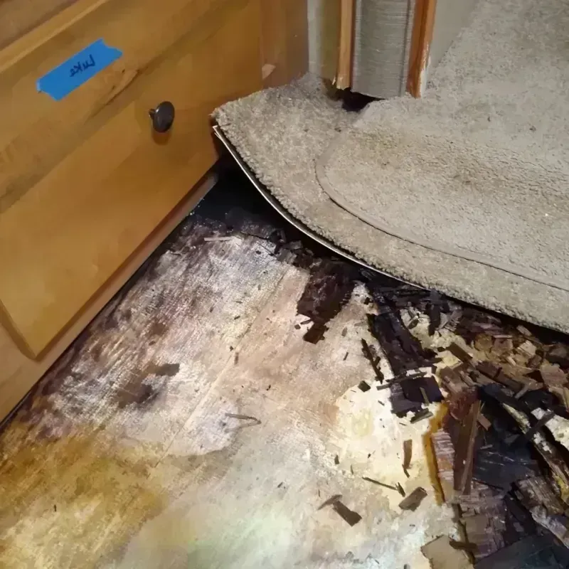 Wood Floor Water Damage in Hillsboro Beach, FL